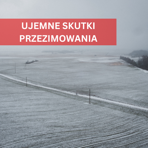 INFORMACJA (ujemne skutki przezimowania 2026) 